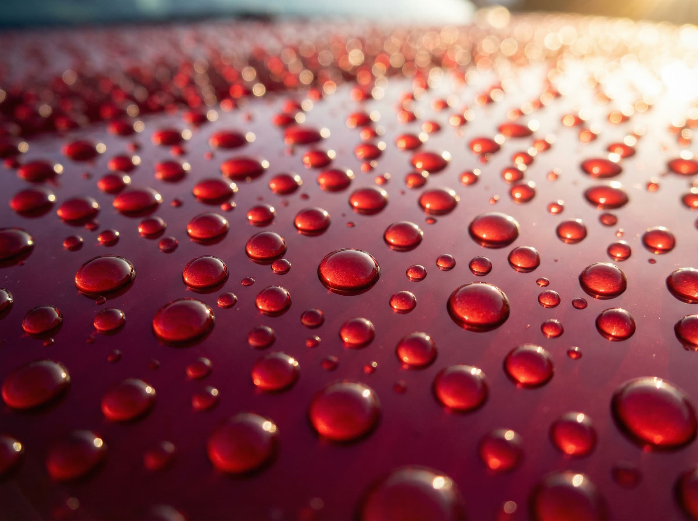 Water beading on a red ceramic coated car bonnet