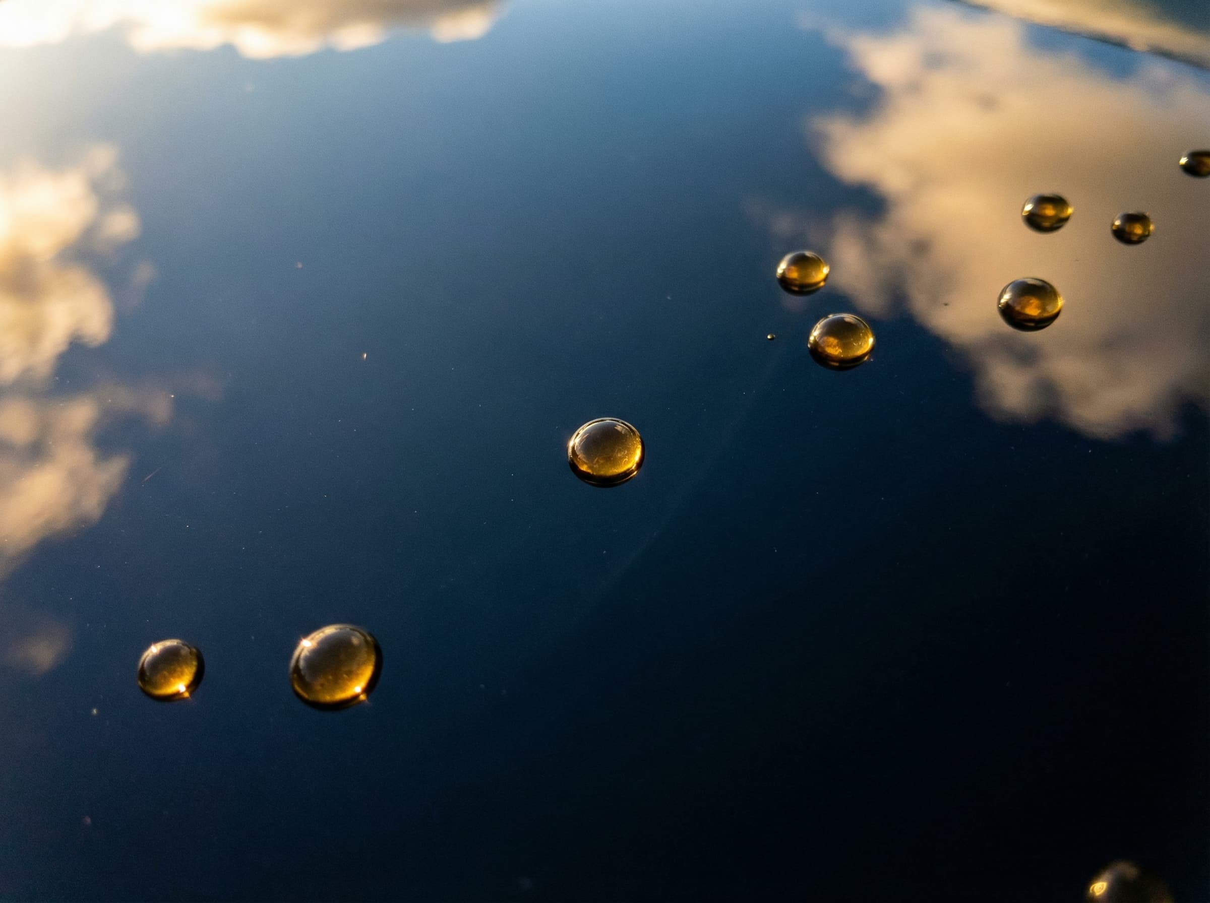 Ceramic coated car with glossy paint finish