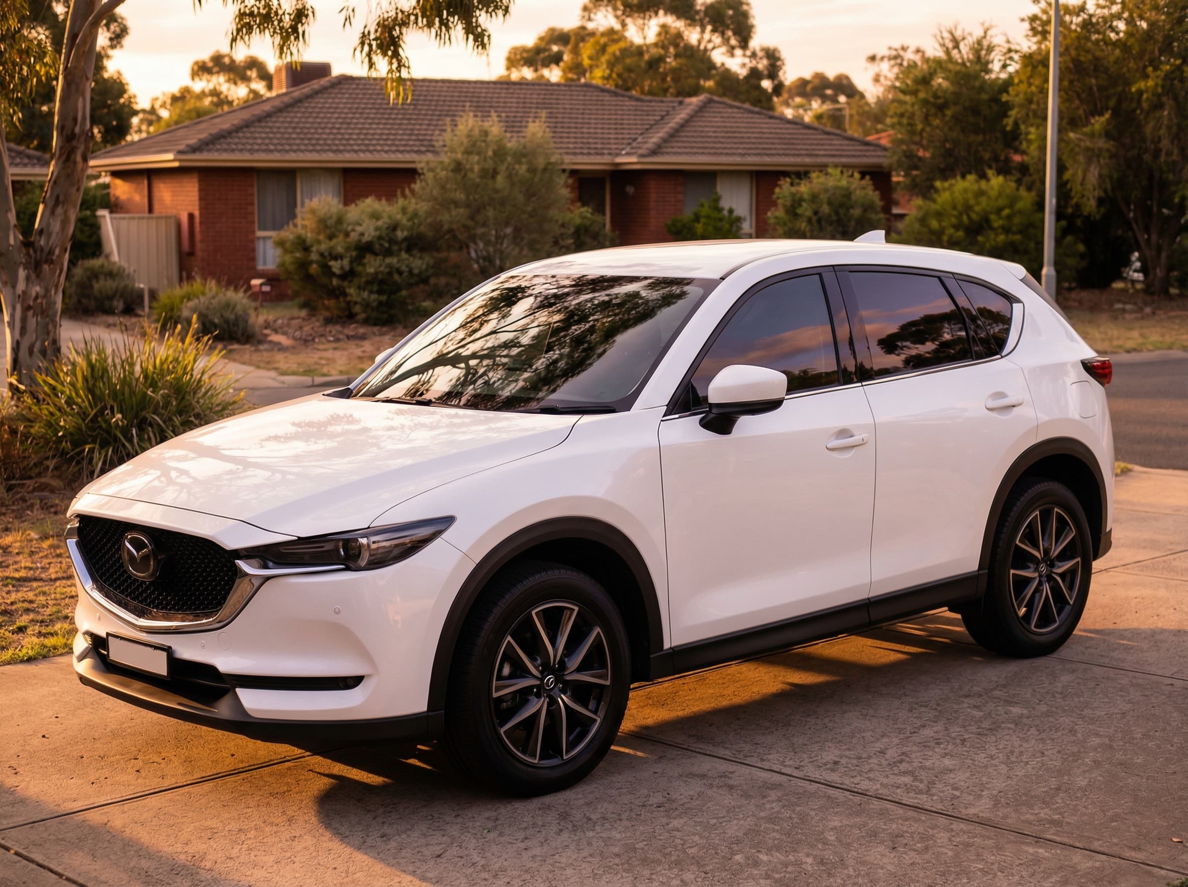 Car with professionally tinted windows